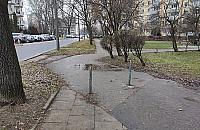 Czy Wolumen jeszcze bardziej si� zazieleni? G�osowanie od 15 czerwca