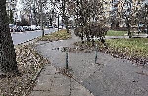 Czy Wolumen jeszcze bardziej się zazieleni? Głosowanie od 15 czerwca