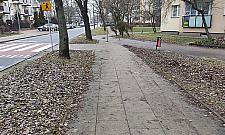 Czy Wolumen jeszcze bardziej się zazieleni? Głosowanie od 15 czerwca