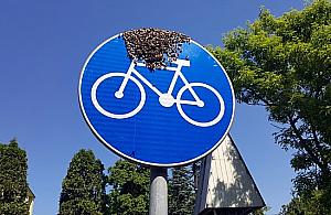 Niezwykła interwencja ekopatrolu na Żeraniu. Rój pszczół chciał przesiąść się na rower?