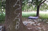 Oto "park na Wawrzyszewie". Pieniądze idą na zwężenie Sokratesa