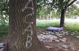 Oto "park na Wawrzyszewie". Pieniądze idą na zwężenie Sokratesa