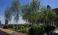 Nowy Norblin prawie gotowy. Otwarcie we wrześniu