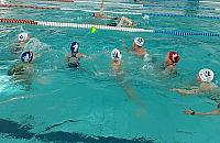 Wodne atrakcje w Pingwinie. Wysyp propozycji mieszkańców