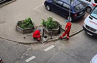 Były donice, dostawili słupki. O co tu chodzi?