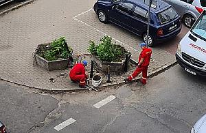 Były donice, dostawili słupki. O co tu chodzi?