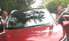 Plantacja konopi w Jachrance. Policja zatrzymała trzy osoby