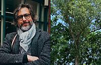 "Biadolę o topolę". Szymon Majewski wierszem do burmistrza Bielan