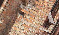 Święty Stanisław w remoncie. Grzyby i glony zaatakowały zabytek