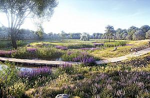 Pole Mokotowskie: remont za co najmniej 36 milionów