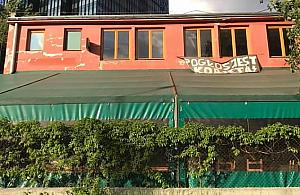 Pogłos zostaje na rok. Koncerty wrócą 1 sierpnia