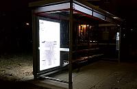 W środku nocy wyprosił kobietę z autobusu. "Nieduży pies nie miał kagańca"