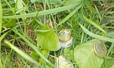 Chcieli okraść myjnię. Zmyli się na widok strażników