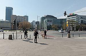 Rusza zwężanie Marszałkowskiej. Zero zapowiedzi, ekspresowe tempo