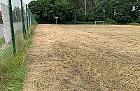 Boisko czy łąka? Koszenie wyszło z mody