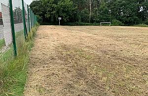 Boisko czy łąka? Koszenie wyszło z mody