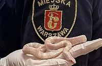 Male�ki w�� postawi� s�u�by na nogi. Interwencja w Wawrze