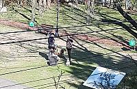 Wychodek dla psów na terenie cmentarza. "Wstyd, zażenowanie? A skąd!"