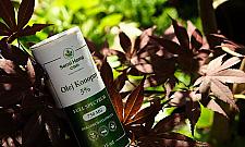 Gdzie w Warszawie legalnie kupisz konopie bez recepty?