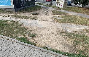 Chodniki zamiast wydeptanych ścieżek. Mieszkańcy zadecydowali