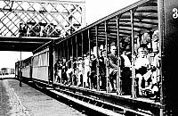 Przedwojenny Wawer na zdjęciach. Ostatni weekend z wystawą