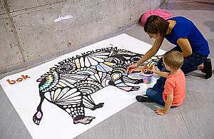 BOK zaprasza po wakacjach. Zapisy na nowy sezon