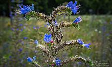 Łąki czy parkingi na Kasprowicza? Mieszkańcy podzieleni