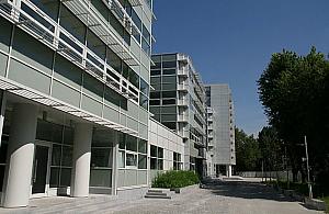 Muzyczna ciekawostka na Bielanach. Koncert na dachu ratusza