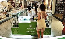 Gdzie w Warszawie legalnie kupisz konopie bez recepty?