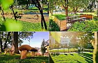 "Leśny park kieszonkowy" powstanie przy Korzona