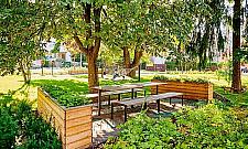 "Leśny park kieszonkowy" powstanie przy Korzona