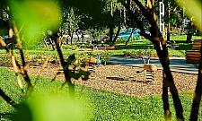 "Leśny park kieszonkowy" powstanie przy Korzona