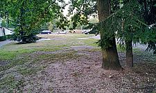 Nie wszyscy chcą wybiegu dla psów. "Będą konflikty"