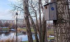 Nowe pomysły dla Bielan: budki dla ptaków, ptasia stołówka, hotele dla owadów