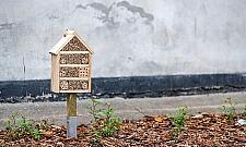 Nowe pomysły dla Bielan: budki dla ptaków, ptasia stołówka, hotele dla owadów