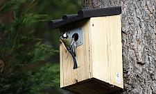 Nowe pomysły dla Bielan: budki dla ptaków, ptasia stołówka, hotele dla owadów