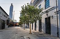 BioBazar wraca na Wol�. Otwarcie w sobot�