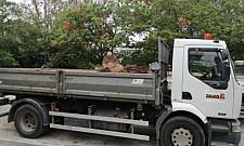 Sokratesa: podczas zwężania jezdni znikają drzewa. Ile wycięto?