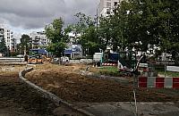 Sokratesa: obiecali 110 nowych drzew, zasadzą 38