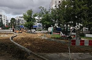 Sokratesa: obiecali 110 nowych drzew, zasadzą 38