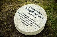 Kolejne drzewka w Ogrodzie Sprawiedliwych