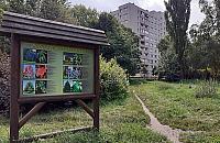 Miał być park, nie ma nawet ławek. Ratusza nie stać?