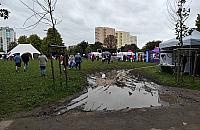 Popiknikowy bajzel w parku Bródnowskim. Kto za to zapłaci?