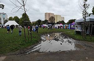 Popiknikowy bajzel w parku Bródnowskim. Kto za to zapłaci?