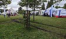 Popiknikowy bajzel w parku Bródnowskim. Kto za to zapłaci?