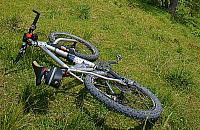 Kolarze szaleją w Lesie Bielańskim. "Notorycznie przeganiają spacerowiczów"