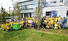 Dzieci zasadziły tysiące żonkili. Pomogli Andrzej Strejlau i Sidney Polak