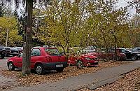 Jak zmieni się Paczkowska? "Może służyć nie tylko jako ulica"