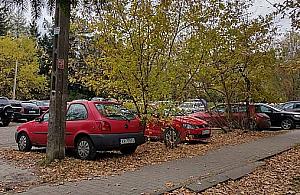 Jak zmieni się Paczkowska? "Może służyć nie tylko jako ulica"