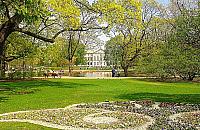 Rzecznik praw obywatelskich broni... psów w parku Krasińskich